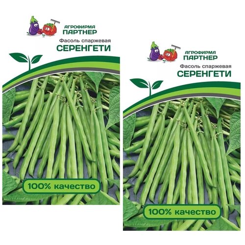 ���������� ������ ������ ��������� ��������� /��������� �������/ 2 �������� �� 5 � �����