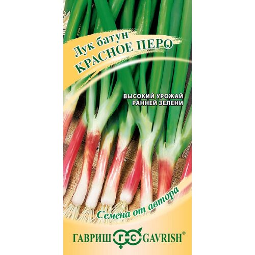 ���������� ������ ������ ������ �� ������ ��� �� ������ ������� ����