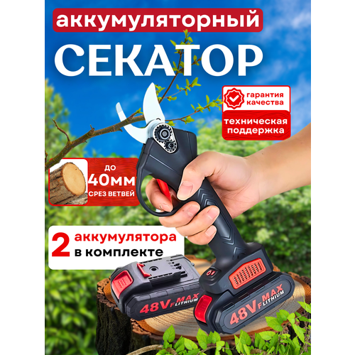 ���������� ������� �������������� ������� � 2 �������������� ���, ��������, ��������, ������