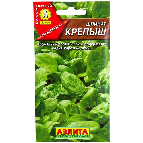 ���������� ������ ������ 