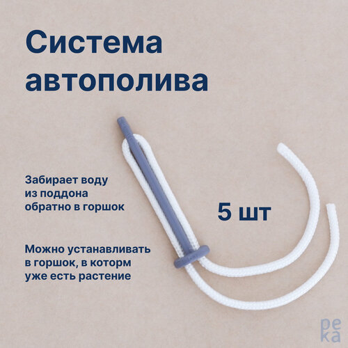 ���������� ������� ���������� ���� ������, 5 ��