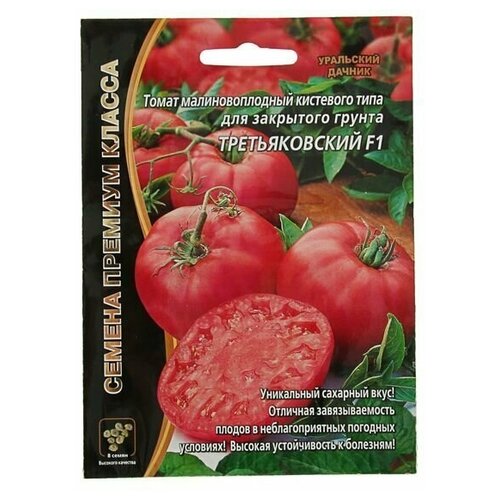 ���������� ������ ����� 