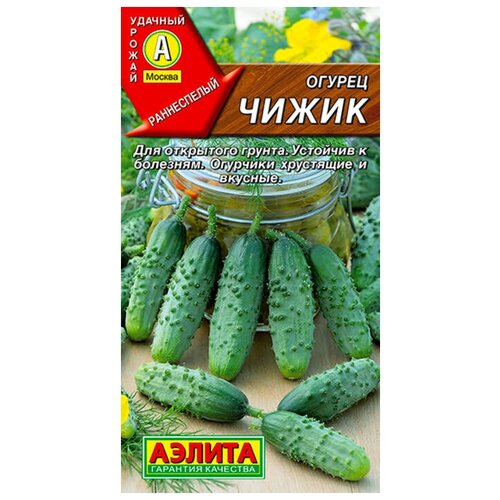 ���������� ������. ������ 