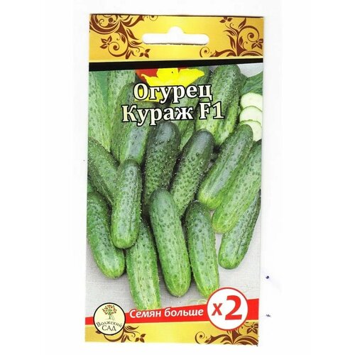 ���������� ������ ����� 20�� (����� ������) �������� ���