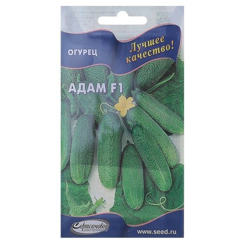 ���������� ������ ������ ����, f1, 6 ��.