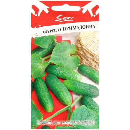 ���������� ������ ������� ������ ������ ���������� F1 10 ��