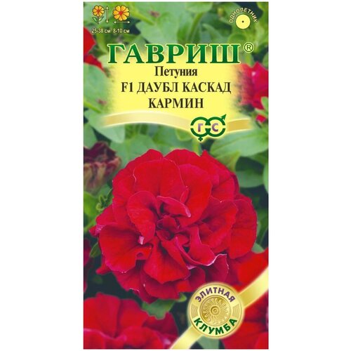 ���������� ������� ����� ������ ������ 5 ��.