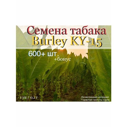���������� ������ ������ Burley KY-15