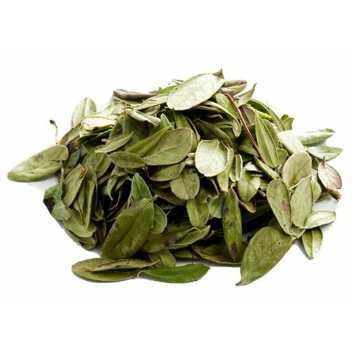 ���������� �������� ����, 200 ��.