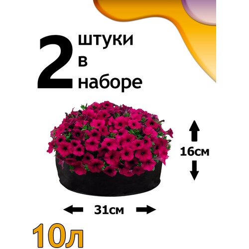 ���������� ������ ���� 10� - 2��