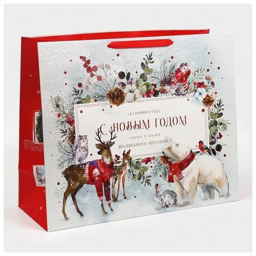 ���������� ����� �������������� �������������� �������� ������, XL 49 ? 40 ? 19 ��