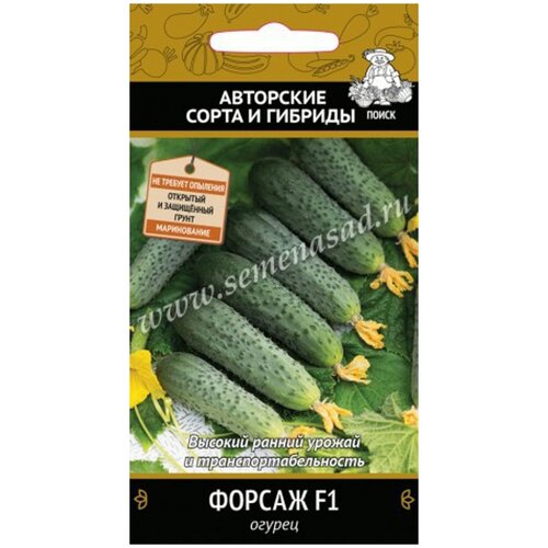 ���������� ������ ����� ������ ������ F1 12 ��., 10 ��.