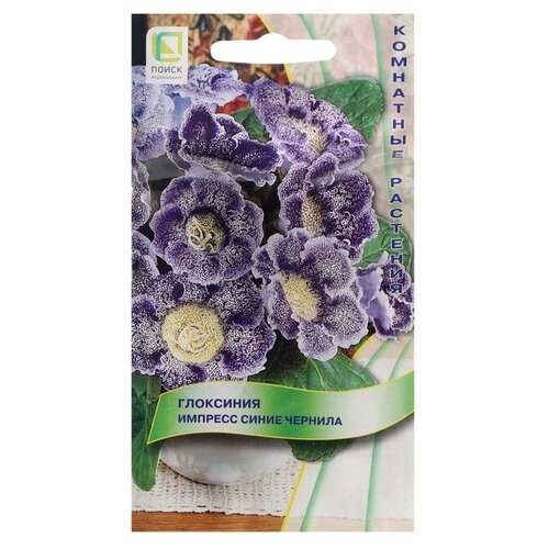 ���������� ������ ��������� ������� ����� ������� (5 ��.)