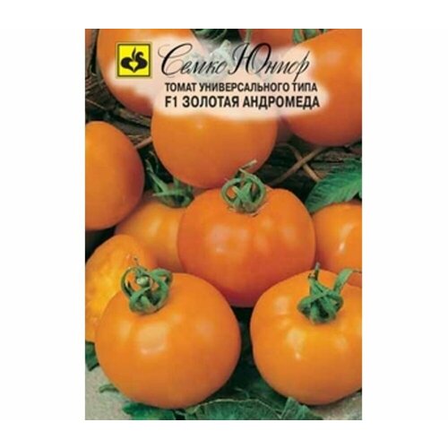 ���������� ������ ����� ������� ��������� F1 0.1� ��� ������ (�����)