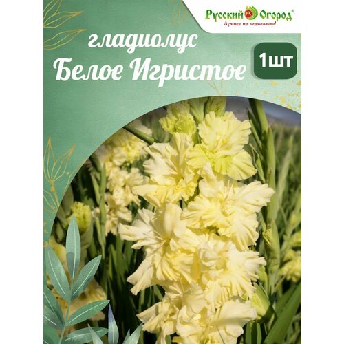 ���������� ��������� ����� ��������