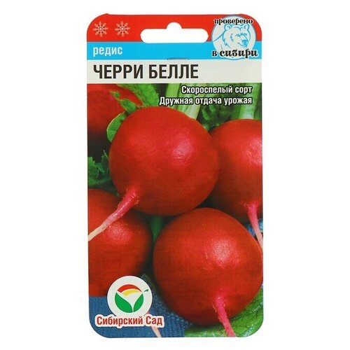 ���������� ������ ����� 