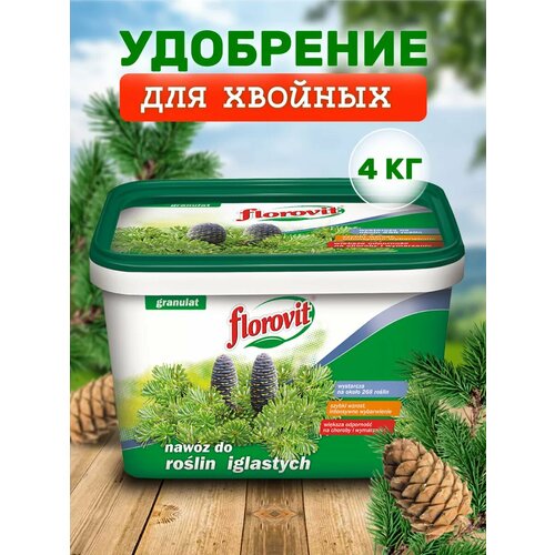 ���������� ��������� ��������������� Florovit ��� ������� �������� 4 �� �����