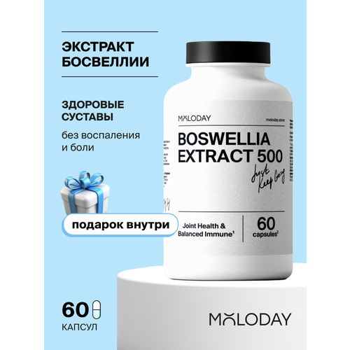 ���������� �������� �������� MOLODAY, 60 ������, ��� �������� � ����������