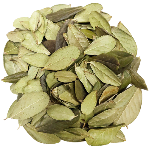 ���������� ��������, ������ 20�.