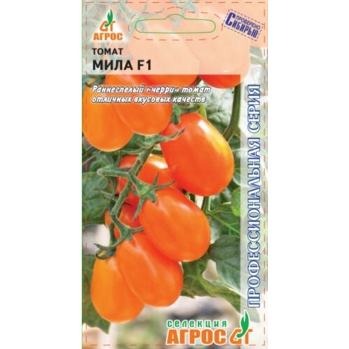 ���������� ������ ����� ���� F1 ����� 5�� ����� ������ (�����)