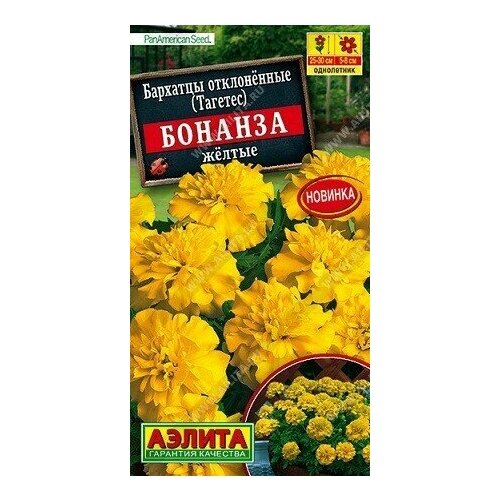 ���������� �������� ������� ������ 10�� ������