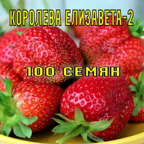 ���������� �������� ���������-2 100 ��