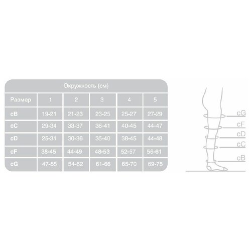 ���������� ����� Ergoforma 227 ������������������, 2 �����, ������: 1, �����: 65-74 ��, �����