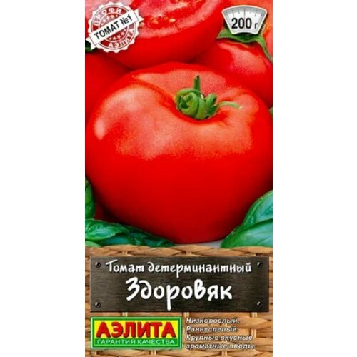 ���������� ������ ����� �������� 20�� ��� ������ (������)