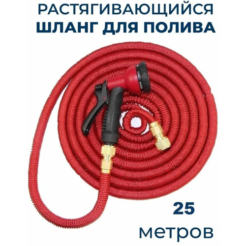 ���������� ����� ��� ������ ��������������� 25 �, ������� � ������������ �� ����