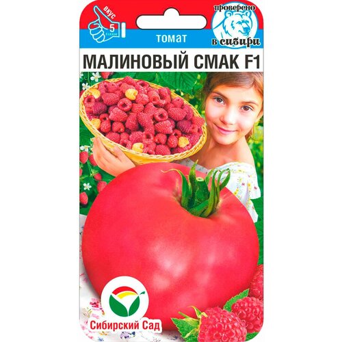 ���������� ������ ����� ��������� ���� F1 15�� ����� ������ (��������� ���)