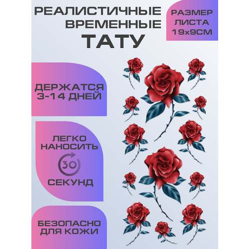 ���������� ���� ���������� ��������������, ��������� ������� ����
