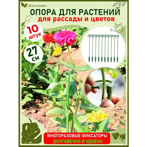 ���������� OlLena Garden / ����� ��� �������� � ������� � ������������, ����� ����������� �������� � �������, 27�� / 10 ��.