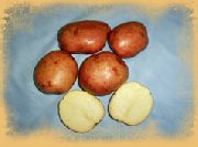 ��������� ��������� 