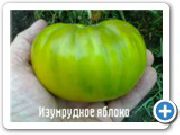 ����� ���������� ������ 